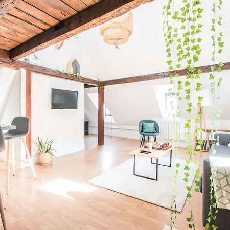 La Petite Cathedrale Sejour De 30 Jours Ou 斯特拉斯堡